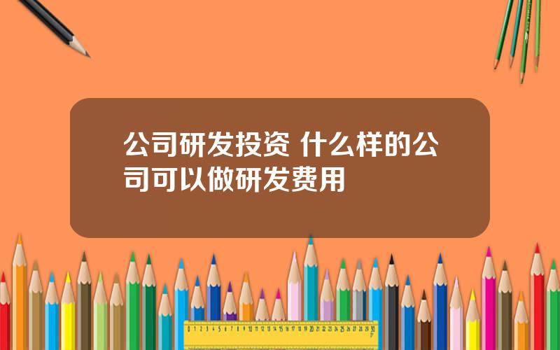 公司研发投资 什么样的公司可以做研发费用